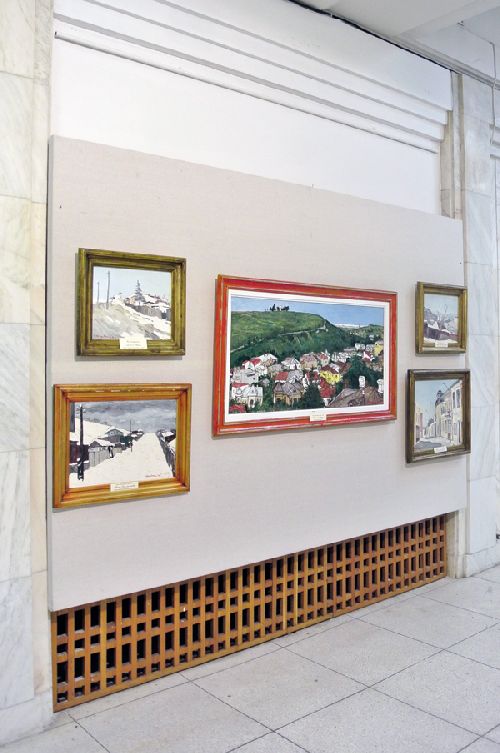 spiru-vergulescu-expozitie-2014-parlamentul-romaniei-13g