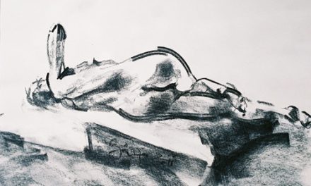 Florin Bârză – Nud