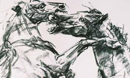Florin Bârză – Ecvestre