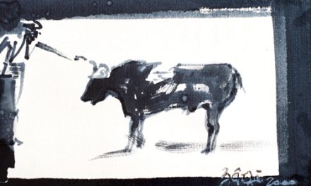 Florin Bârză – Corrida